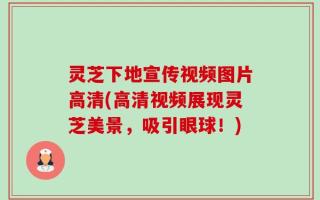 灵芝下地宣传视频图片高清(高清视频展现灵芝美景，吸引眼球！)