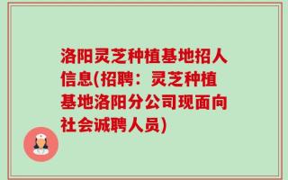 洛阳灵芝种植基地招人信息(招聘：灵芝种植基地洛阳分公司现面向社会诚聘人员)