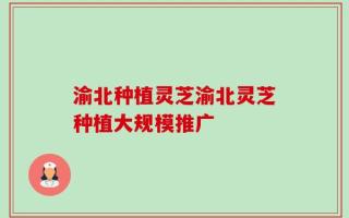 渝北种植灵芝渝北灵芝种植大规模推广