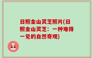 日照金山灵芝照片(日照金山灵芝：一种难得一见的自然奇观)