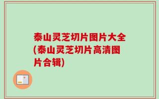 泰山灵芝切片图片大全(泰山灵芝切片高清图片合辑)