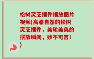 松树灵芝摆件摆放图片视频(高雅自然的松树灵芝摆件，美轮美奂的摆放瞬间，妙不可言！)