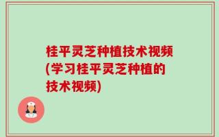桂平灵芝种植技术视频(学习桂平灵芝种植的技术视频)