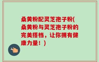 桑黄粉配灵芝孢子粉(桑黄粉与灵芝孢子粉的完美搭档，让你拥有健康力量！)
