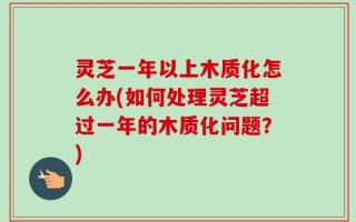 灵芝一年以上木质化怎么办(如何处理灵芝超过一年的木质化问题？)