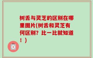 树舌与灵芝的区别在哪里图片(树舌和灵芝有何区别？比一比就知道！)