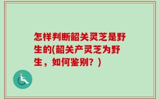 怎样判断韶关灵芝是野生的(韶关产灵芝为野生，如何鉴别？)