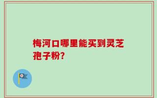梅河口哪里能买到灵芝孢子粉？