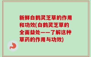 新鲜白鹤灵芝草的作用和功效(白鹤灵芝草的全面益处——了解这种草药的作用与功效)