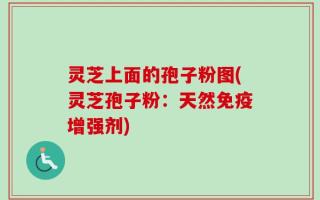 灵芝上面的孢子粉图(灵芝孢子粉：天然免疫增强剂)