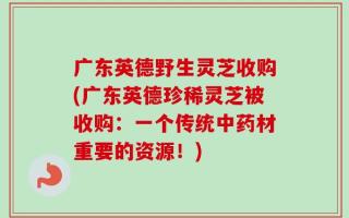 广东英德野生灵芝收购(广东英德珍稀灵芝被收购：一个传统中药材重要的资源！)