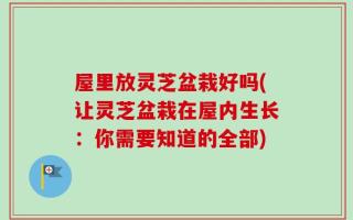 屋里放灵芝盆栽好吗(让灵芝盆栽在屋内生长：你需要知道的全部)
