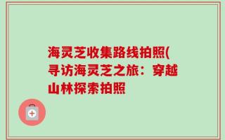 海灵芝收集路线拍照(寻访海灵芝之旅：穿越山林探索拍照