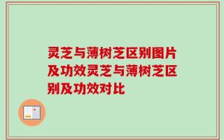 灵芝与薄树芝区别图片及功效灵芝与薄树芝区别及功效对比