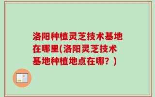 洛阳种植灵芝技术基地在哪里(洛阳灵芝技术基地种植地点在哪？)