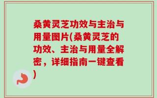 桑黄灵芝功效与主治与用量图片(桑黄灵芝的功效、主治与用量全解密，详细指南一键查看)