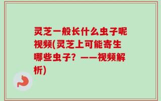 灵芝一般长什么虫子呢视频(灵芝上可能寄生哪些虫子？——视频解析)
