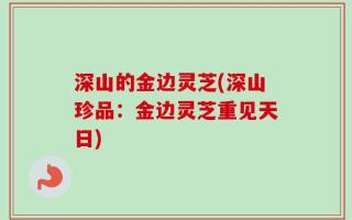 深山的金边灵芝(深山珍品：金边灵芝重见天日)