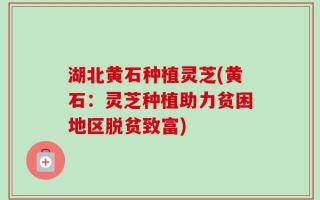 湖北黄石种植灵芝(黄石：灵芝种植助力贫困地区脱贫致富)