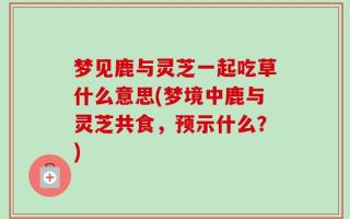 梦见鹿与灵芝一起吃草什么意思(梦境中鹿与灵芝共食，预示什么？)