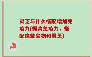 灵芝与什么搭配增加免疫力(提高免疫力，搭配这些食物和灵芝)