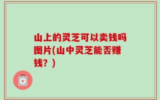 山上的灵芝可以卖钱吗图片(山中灵芝能否赚钱？)