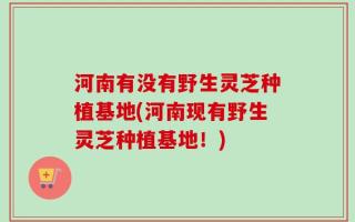 河南有没有野生灵芝种植基地(河南现有野生灵芝种植基地！)