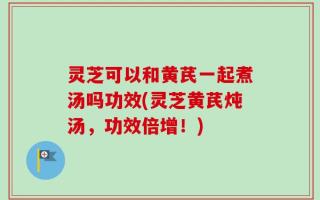 灵芝可以和黄芪一起煮汤吗功效(灵芝黄芪炖汤，功效倍增！)