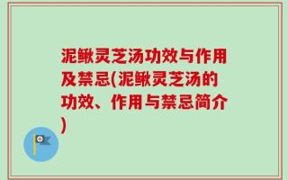 泥鳅灵芝汤功效与作用及禁忌(泥鳅灵芝汤的功效、作用与禁忌简介)