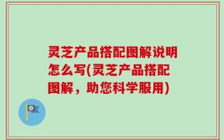 灵芝产品搭配图解说明怎么写(灵芝产品搭配图解，助您科学服用)