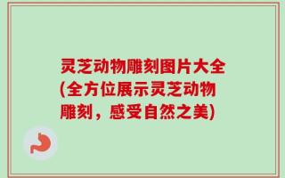 灵芝动物雕刻图片大全(全方位展示灵芝动物雕刻，感受自然之美)