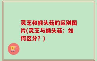 灵芝和猴头菇的区别图片(灵芝与猴头菇：如何区分？)