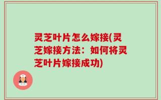 灵芝叶片怎么嫁接(灵芝嫁接方法：如何将灵芝叶片嫁接成功)