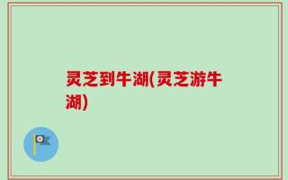 灵芝到牛湖(灵芝游牛湖)