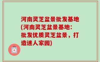 河南灵芝盆景批发基地(河南灵芝盆景基地：批发优质灵芝盆景，打造迷人家园)