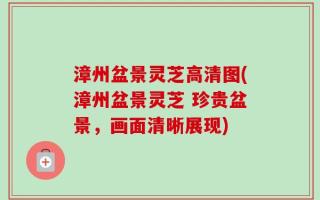 漳州盆景灵芝高清图(漳州盆景灵芝 珍贵盆景，画面清晰展现)