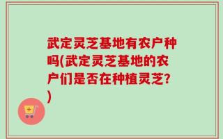 武定灵芝基地有农户种吗(武定灵芝基地的农户们是否在种植灵芝？)