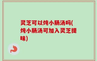 灵芝可以炖小肠汤吗(炖小肠汤可加入灵芝提味)