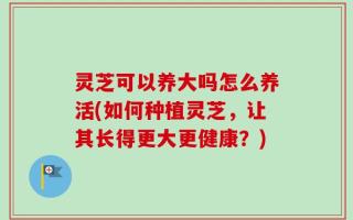 灵芝可以养大吗怎么养活(如何种植灵芝，让其长得更大更健康？)