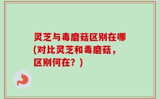 灵芝与毒磨菇区别在哪(对比灵芝和毒磨菇，区别何在？)