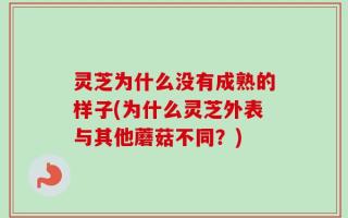 灵芝为什么没有成熟的样子(为什么灵芝外表与其他蘑菇不同？)