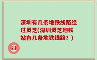 深圳有几条地铁线路经过灵芝(深圳灵芝地铁站有几条地铁线路？)