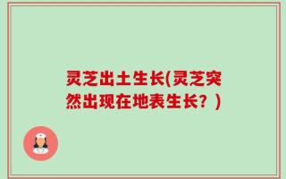 灵芝出土生长(灵芝突然出现在地表生长？)