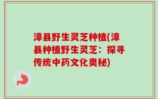 漳县野生灵芝种植(漳县种植野生灵芝：探寻传统中药文化奥秘)