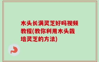 木头长满灵芝好吗视频教程(教你利用木头栽培灵芝的方法)