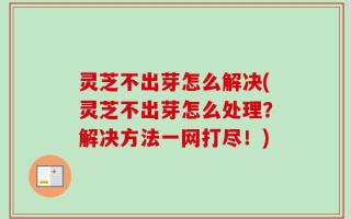 灵芝不出芽怎么解决(灵芝不出芽怎么处理？解决方法一网打尽！)