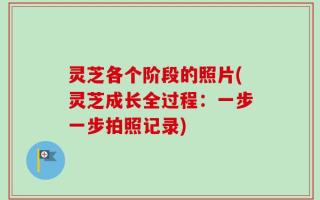 灵芝各个阶段的照片(灵芝成长全过程：一步一步拍照记录)
