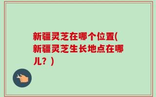 新疆灵芝在哪个位置(新疆灵芝生长地点在哪儿？)