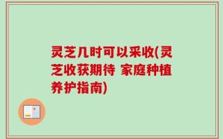 灵芝几时可以采收(灵芝收获期待 家庭种植养护指南)