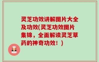 灵芝功效讲解图片大全及功效(灵芝功效图片集锦，全面解读灵芝草药的神奇功效！)